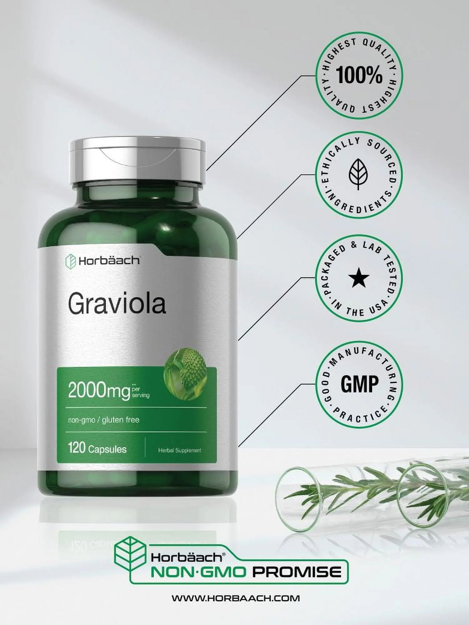 Graviola Extract 2000Mg | 120 Capsules | by