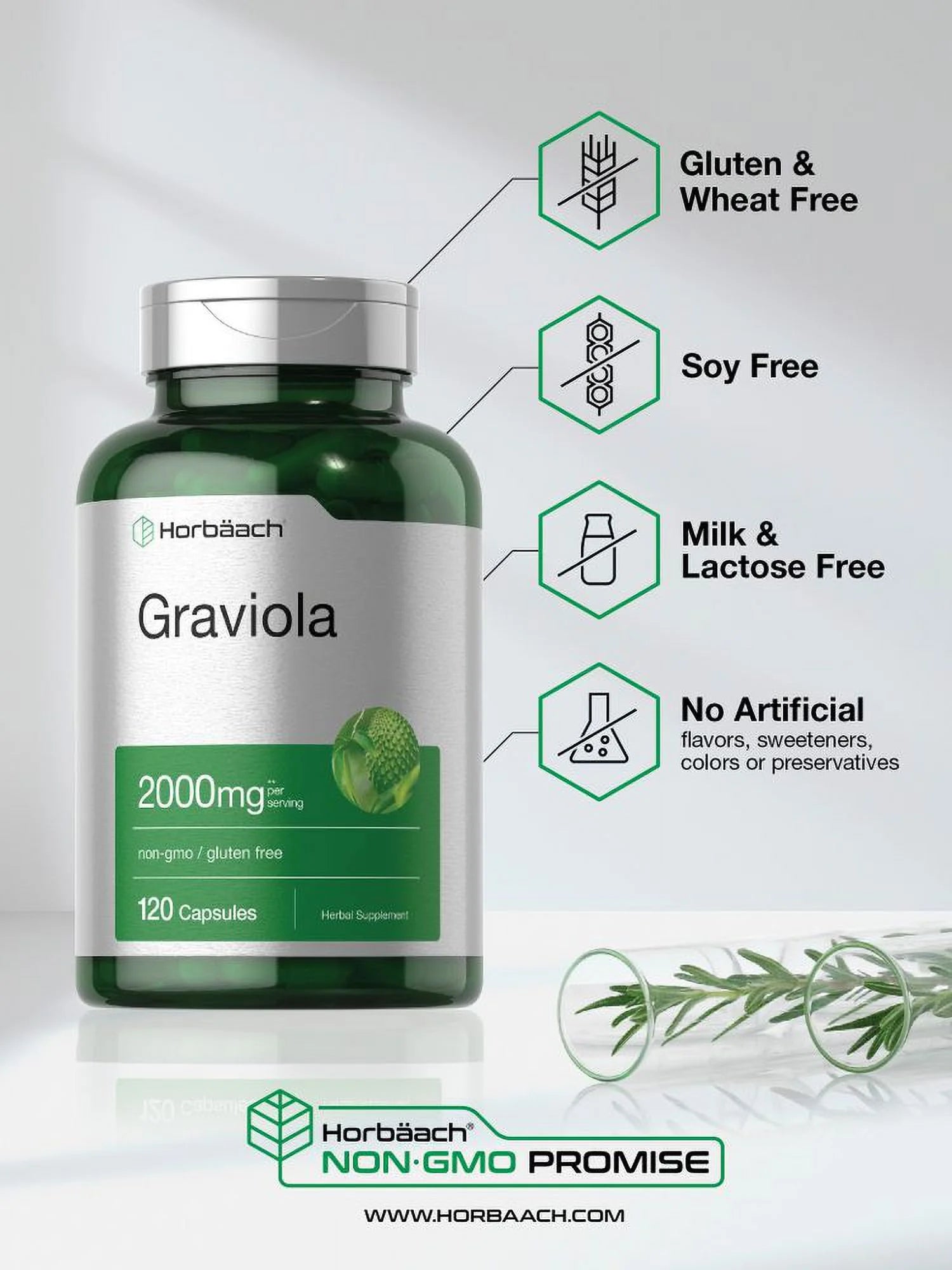 Graviola Extract 2000Mg | 120 Capsules | by