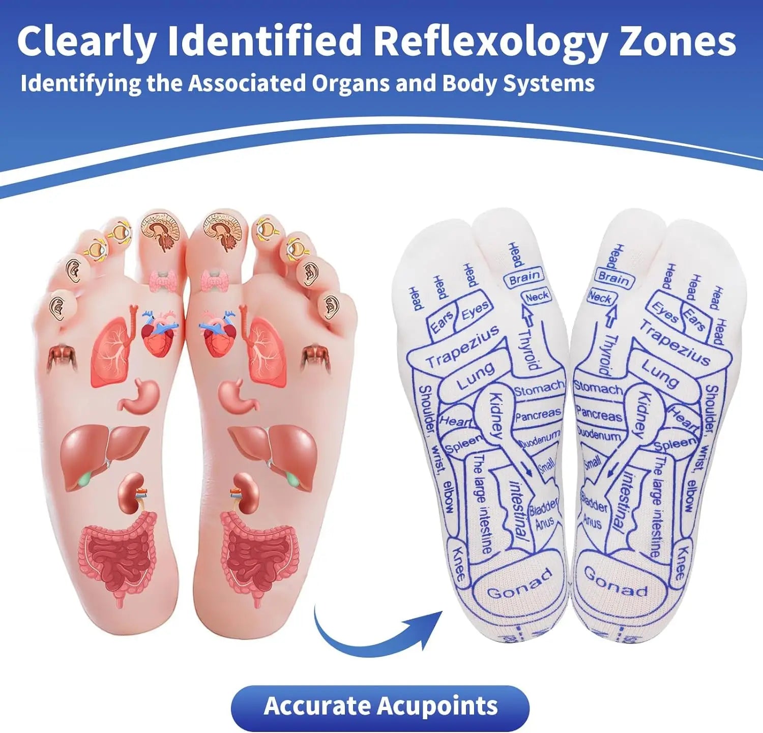 Acupuncture Physiotherapy Foot Massage Socks